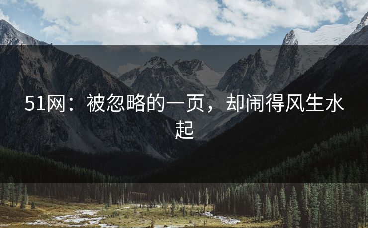 51网：被忽略的一页，却闹得风生水起